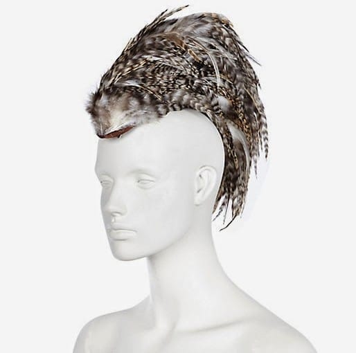 The Modern Bouffant, Hint: It has Feathers